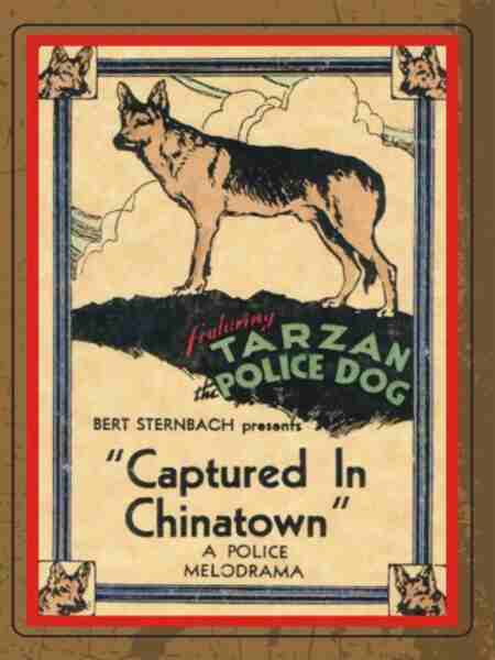 Captured in Chinatown (1935) starring Tarzan on DVD on DVD