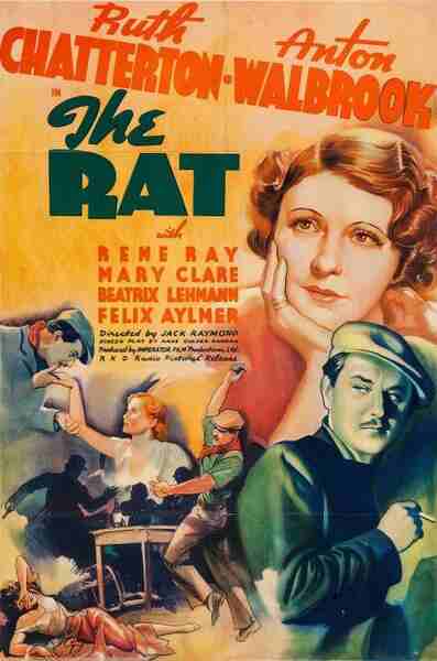 The Rat (1937) starring Ruth Chatterton on DVD on DVD