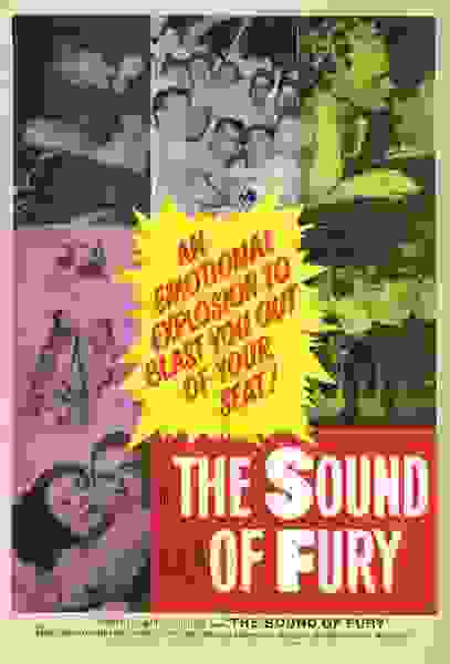 The Sound of Fury (1950) with English Subtitles on DVD on DVD