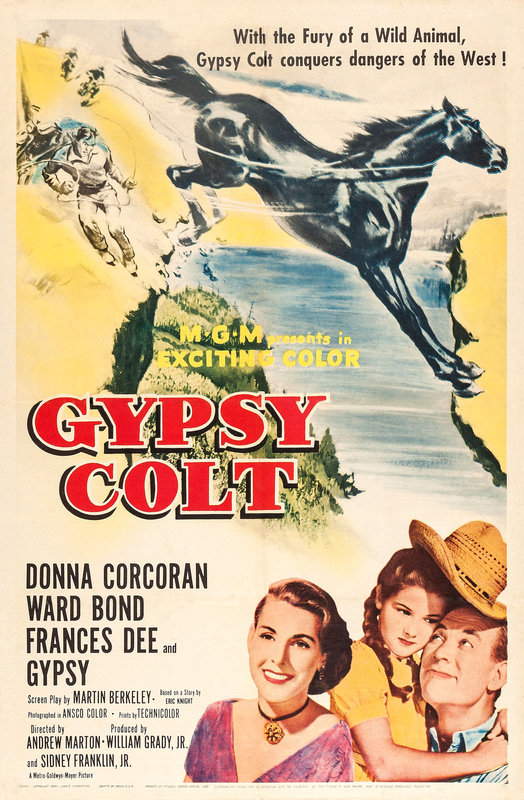 Gypsy Colt (1954) starring Donna Corcoran on DVD on DVD