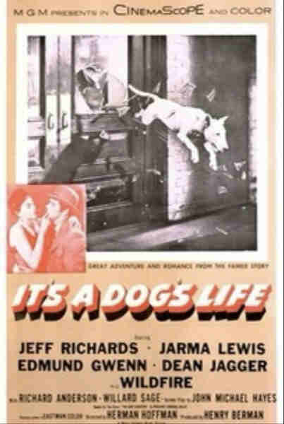 It's a Dog's Life (1955) starring Jeff Richards on DVD on DVD