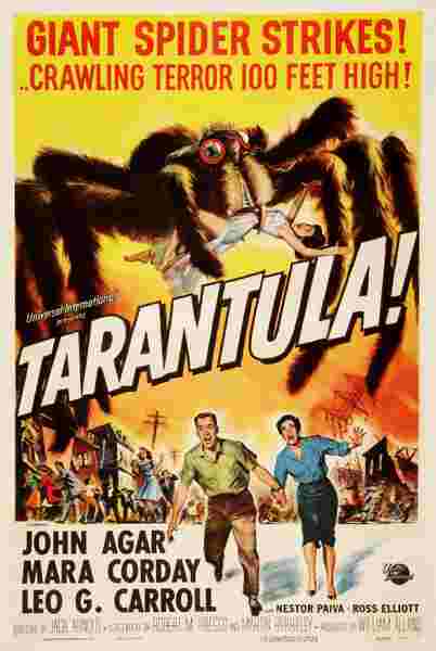 Tarantula (1955) starring John Agar on DVD on DVD
