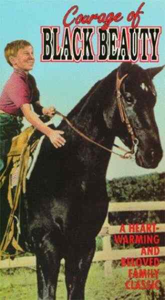 Courage of Black Beauty (1957) starring Johnny Crawford on DVD on DVD