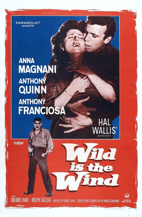 Wild Is the Wind (1957) starring Anthony Quinn on DVD on DVD