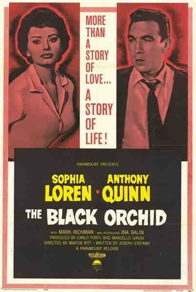 The Black Orchid (1958) starring Sophia Loren on DVD on DVD