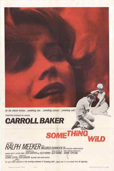 Something Wild (1961) starring Carroll Baker on DVD on DVD