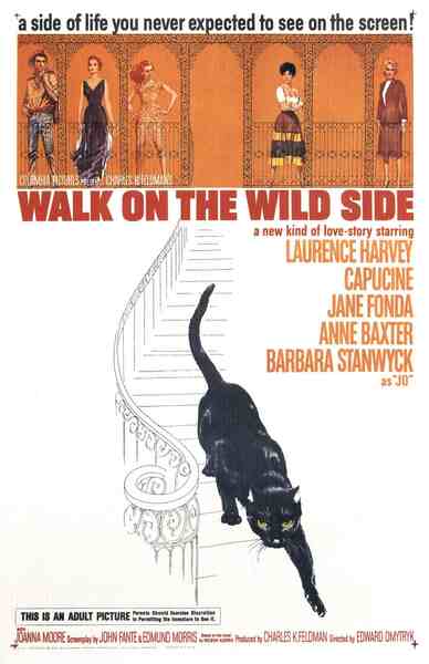 Walk on the Wild Side (1962) starring Laurence Harvey on DVD on DVD