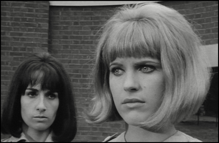 Diary of a Nobody (1964) starring Bryan Pringle on DVD on DVD