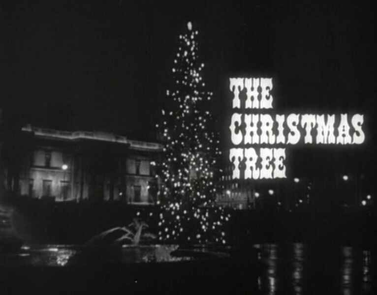 The Christmas Tree (1966) starring William Burleigh on DVD on DVD