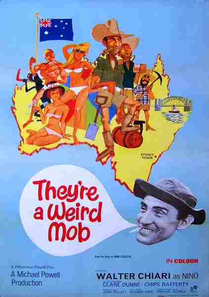 They're a Weird Mob (1966) starring Walter Chiari on DVD on DVD