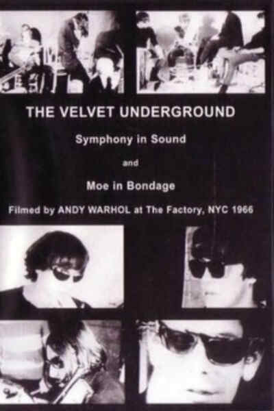 The Velvet Underground and Nico (1966) starring John Cale on DVD on DVD