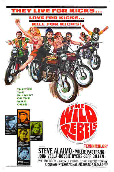 The Wild Rebels (1967) starring Steve Alaimo on DVD on DVD