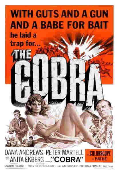 The Cobra (1967) with English Subtitles on DVD on DVD