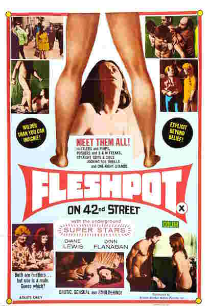Fleshpot on 42nd Street (1973) starring Laura Cannon on DVD on DVD