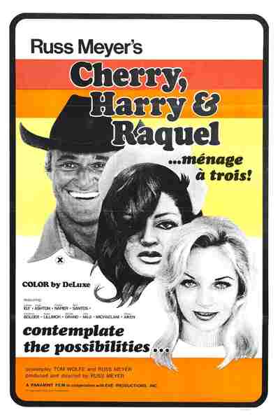 Cherry, Harry & Raquel! (1970) starring Larissa Ely on DVD on DVD