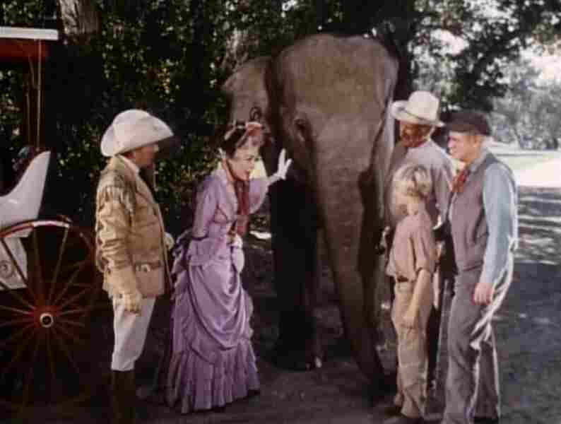 The Boy Who Stole the Elephant (1970) starring David Wayne on DVD on DVD
