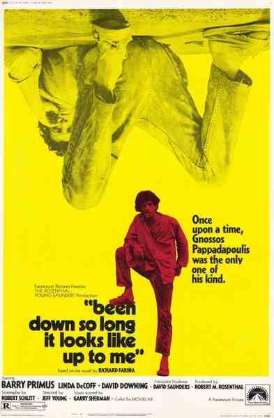 Been Down So Long It Looks Like Up to Me (1971) starring Barry Primus on DVD on DVD