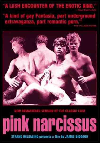Pink Narcissus (1971) with English Subtitles on DVD on DVD