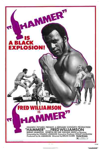 Hammer (1972) starring Fred Williamson on DVD on DVD