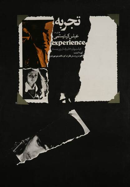 The Experience (1973) with English Subtitles on DVD on DVD