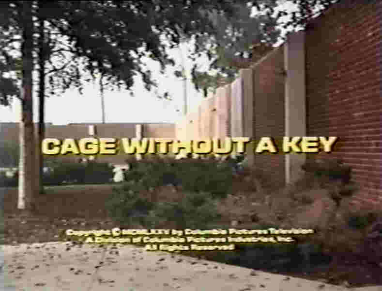 Cage Without a Key (1975) starring Susan Dey on DVD on DVD