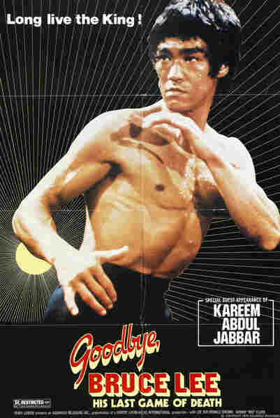 Goodbye Bruce Lee: His Last Game of Death (1975) with English Subtitles on DVD on DVD