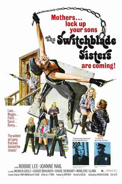 Maggie's Stiletto Sisters (1975) starring Robbie Lee on DVD on DVD