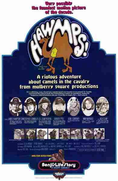 Hawmps! (1976) starring James Hampton on DVD on DVD