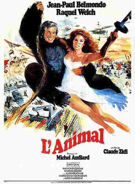 Animal (1977) with English Subtitles on DVD on DVD