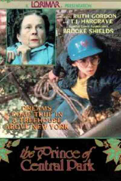 The Prince of Central Park (1977) starring T.J. Hargrave on DVD on DVD