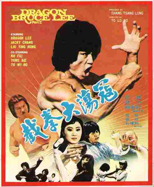 Dragon Lee Fights Again (1982) with English Subtitles on DVD on DVD