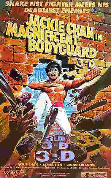 Magnificent Bodyguards (1978) with English Subtitles on DVD on DVD