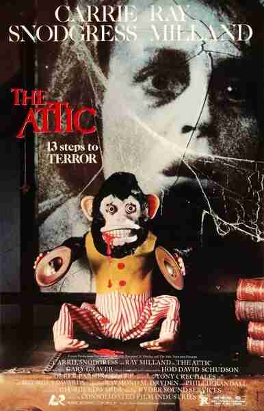 The Attic (1980) starring Carrie Snodgress on DVD on DVD