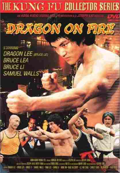 Dragon on Fire (1978) with English Subtitles on DVD on DVD