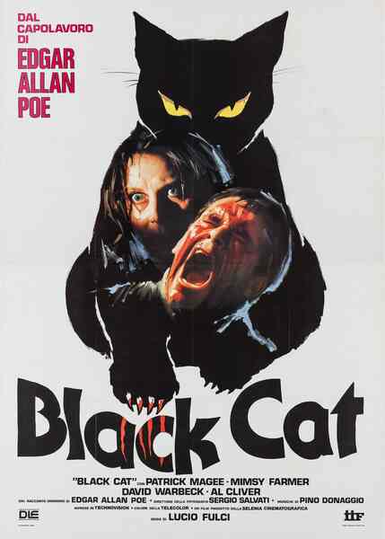 The Black Cat (1981) with English Subtitles on DVD on DVD