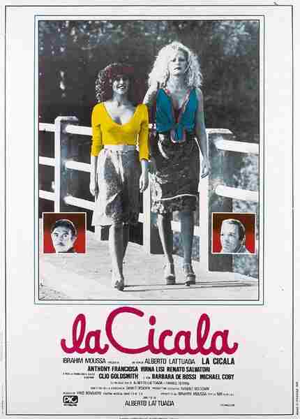 The Cricket (1980) with English Subtitles on DVD on DVD
