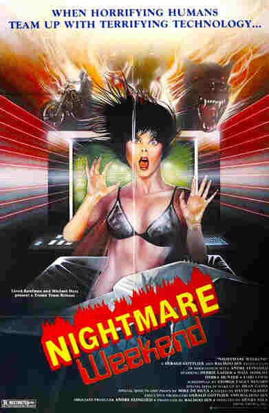 Nightmare Weekend (1986) starring Debbie Laster on DVD on DVD