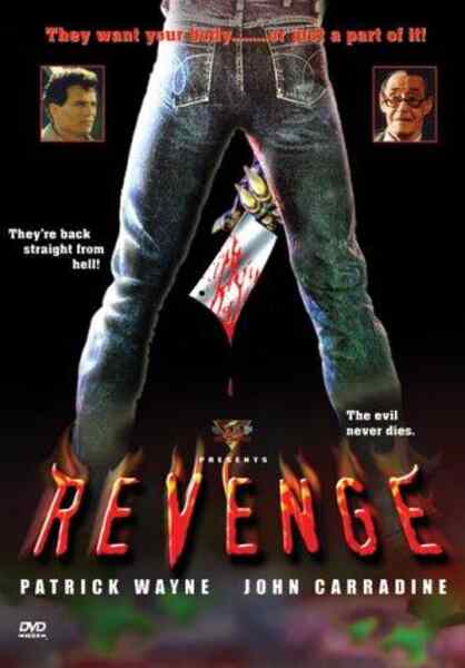 Revenge (1986) starring Patrick Wayne on DVD on DVD