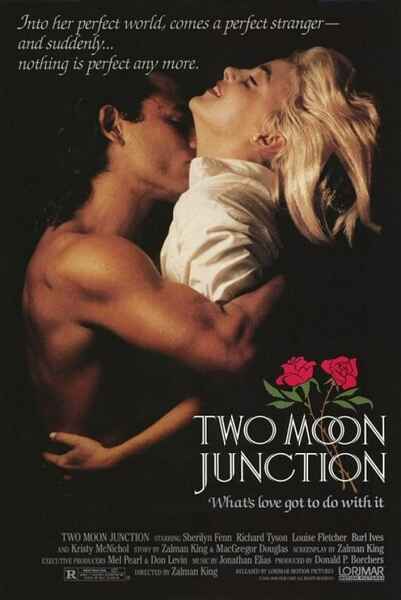 Two Moon Junction (1988) starring Sherilyn Fenn on DVD on DVD