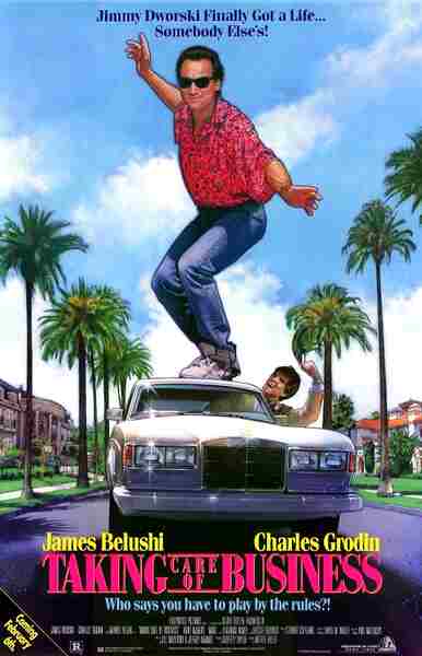 Taking Care of Business (1990) starring Jim Belushi on DVD on DVD