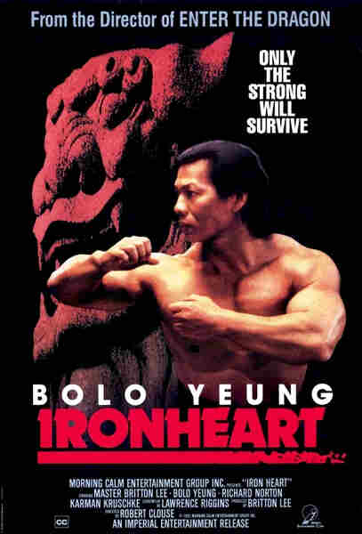 Ironheart (1992) starring Britton K. Lee on DVD on DVD