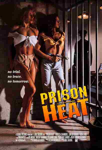 Prison Heat (1993) starring Rebecca Chambers on DVD on DVD