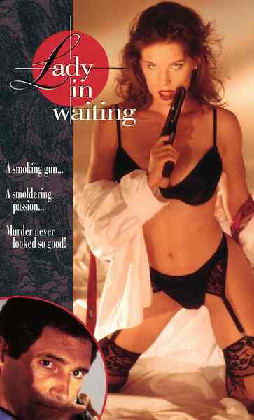 Lady in Waiting (1994) starring Michael Nouri on DVD on DVD