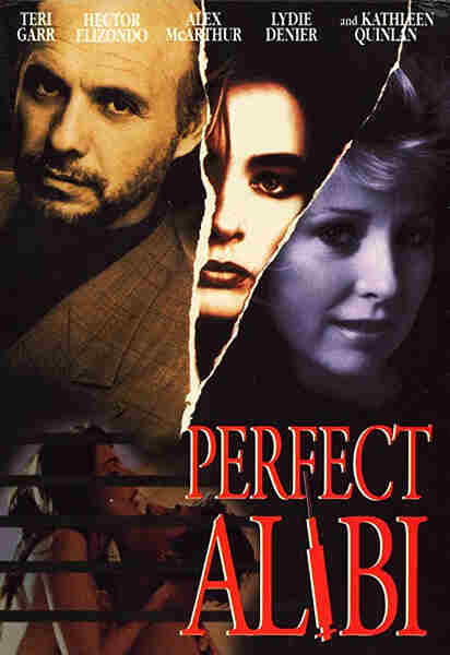 Perfect Alibi (1995) starring Teri Garr on DVD on DVD