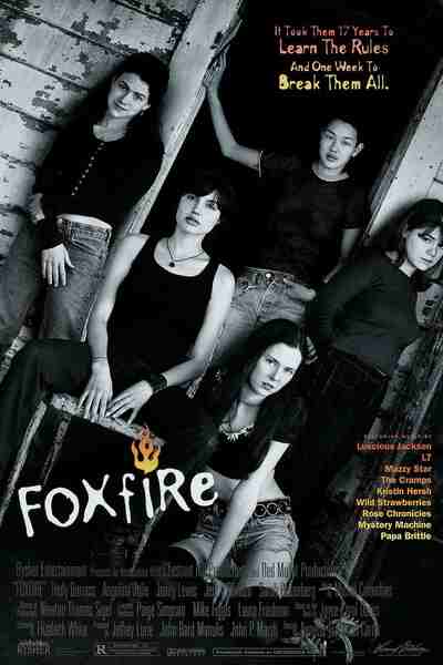 Foxfire (1996) starring Hedy Burress on DVD on DVD