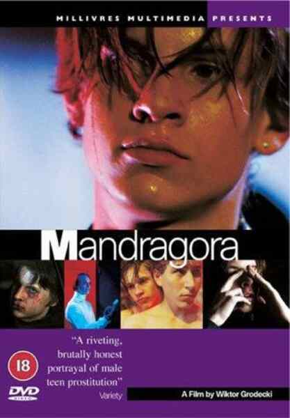 Mandragora (1997) with English Subtitles on DVD on DVD