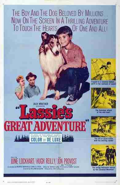 Lassie's Great Adventure (1963) starring June Lockhart on DVD on DVD