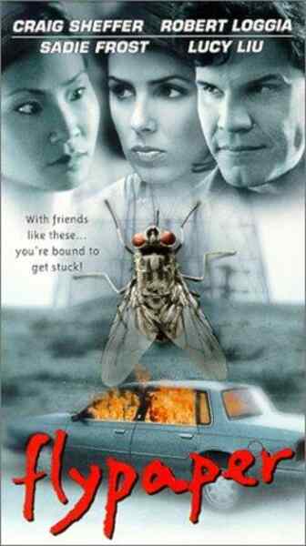 Flypaper (1999) starring Craig Sheffer on DVD on DVD