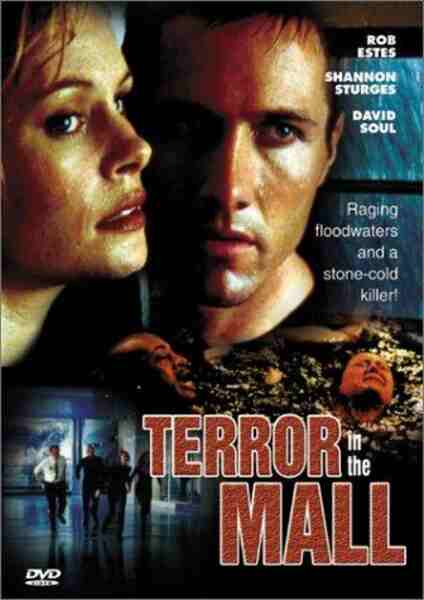 Terror in the Mall (1998) starring Rob Estes on DVD on DVD