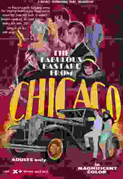 The Fabulous Bastard from Chicago (1969) starring John Alderman on DVD on DVD